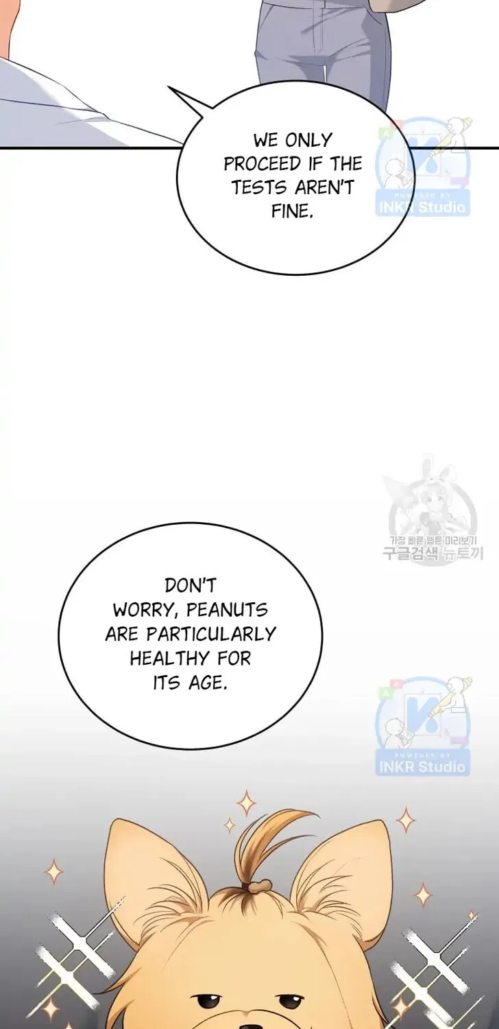 Hello, Mr. Veterinarian! Chapter 2 page 73 - 