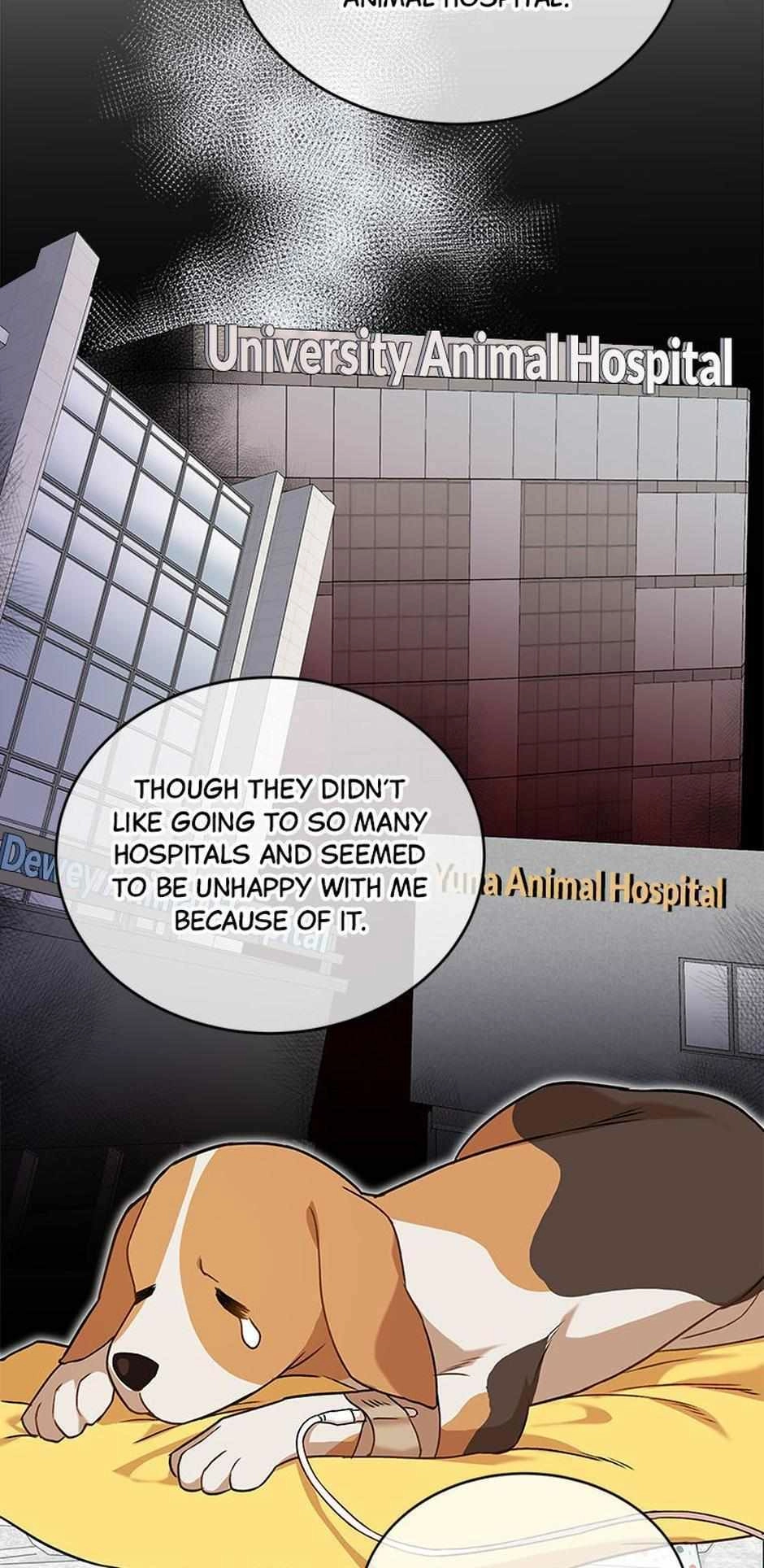 Hello, Mr. Veterinarian! Chapter 20 page 13 - 