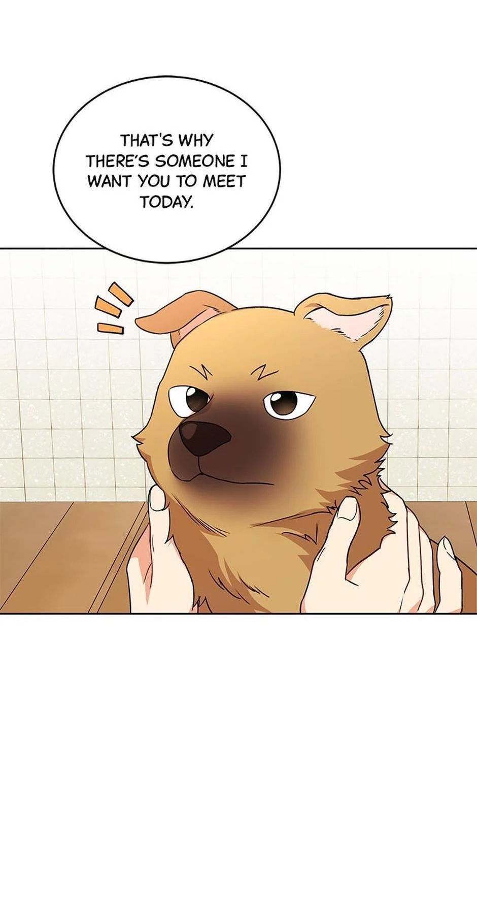 Hello, Mr. Veterinarian! Chapter 20 page 34 - 