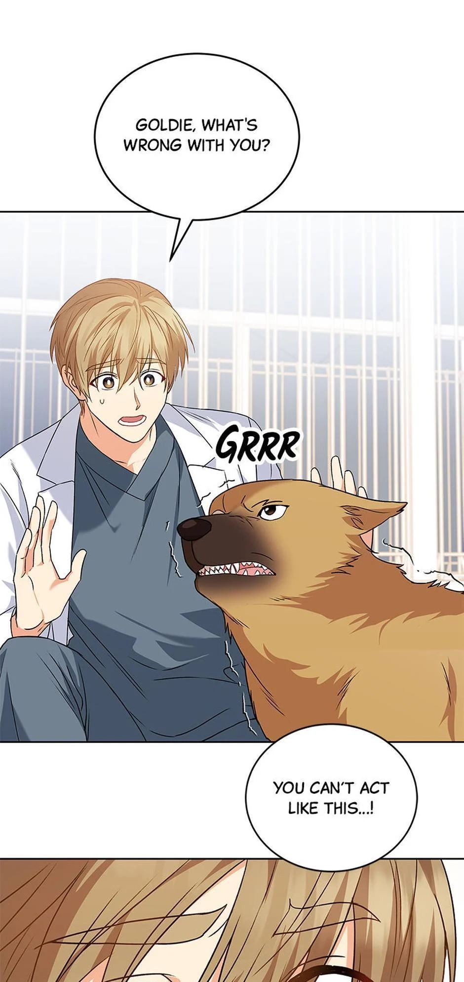 Hello, Mr. Veterinarian! Chapter 20 page 41 - 