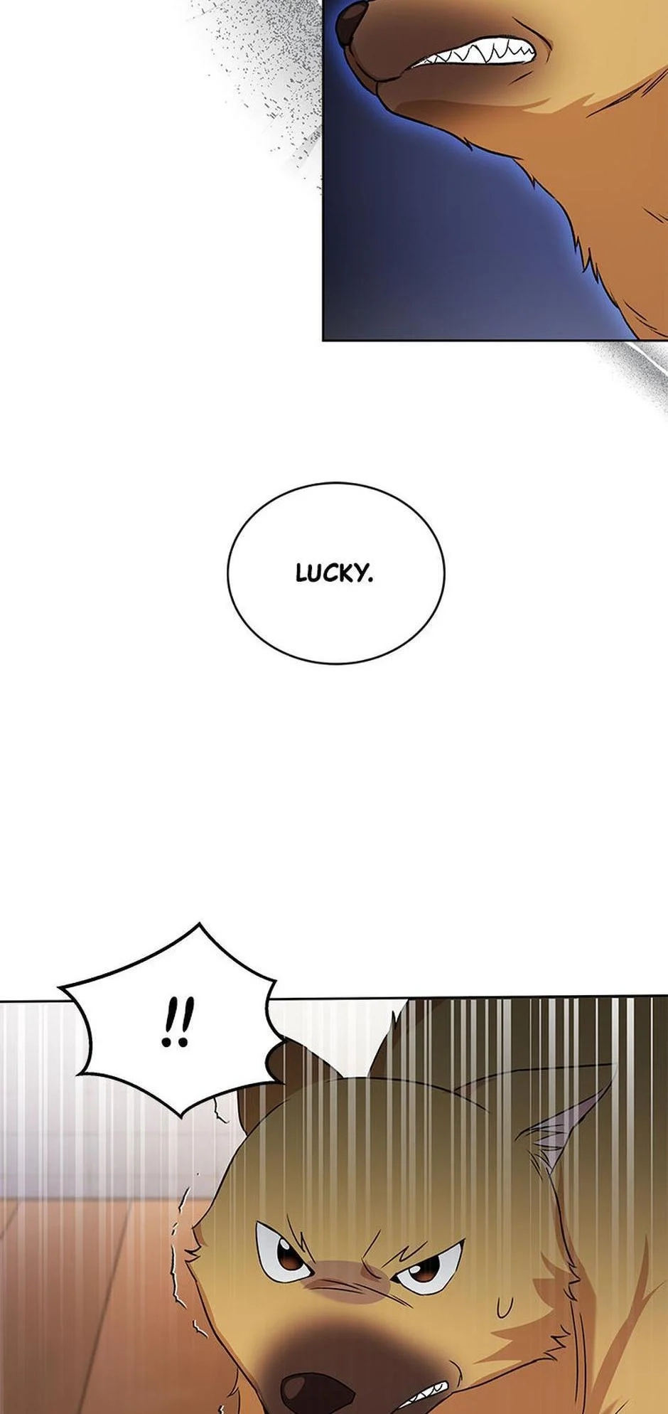 Hello, Mr. Veterinarian! Chapter 20 page 44 - 