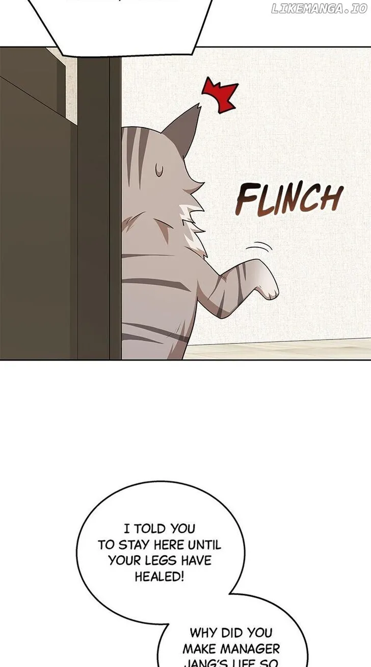 Hello, Mr. Veterinarian! Chapter 21 page 21 - 