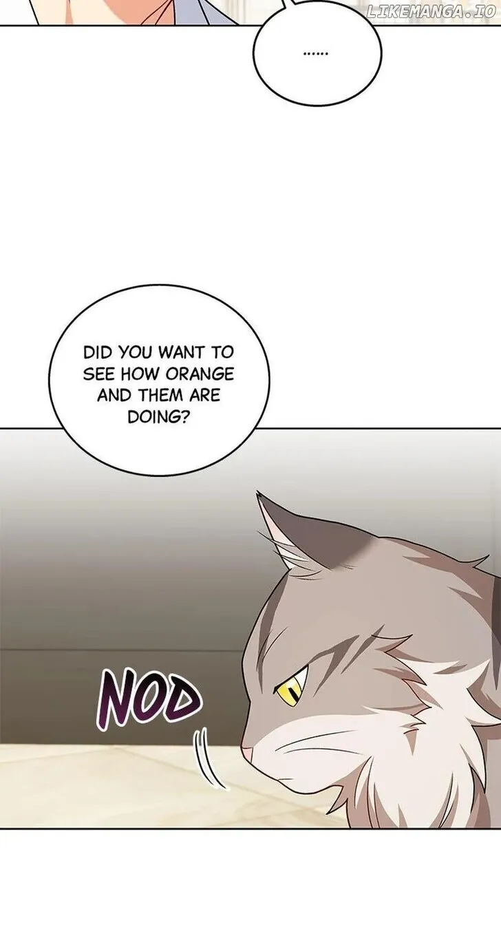 Hello, Mr. Veterinarian! Chapter 21 page 26 - 