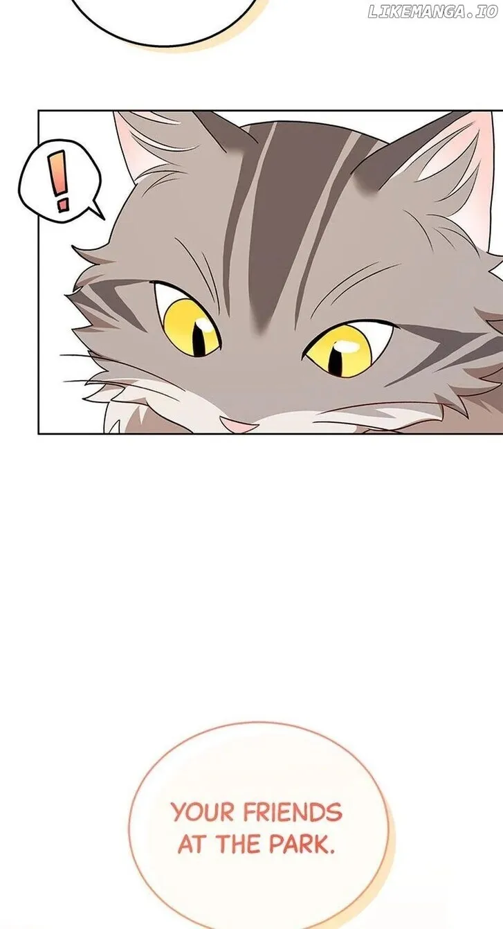 Hello, Mr. Veterinarian! Chapter 21 page 28 - 
