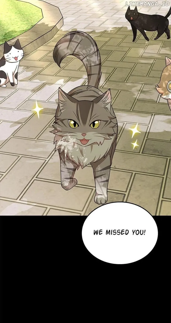 Hello, Mr. Veterinarian! Chapter 21 page 33 - 
