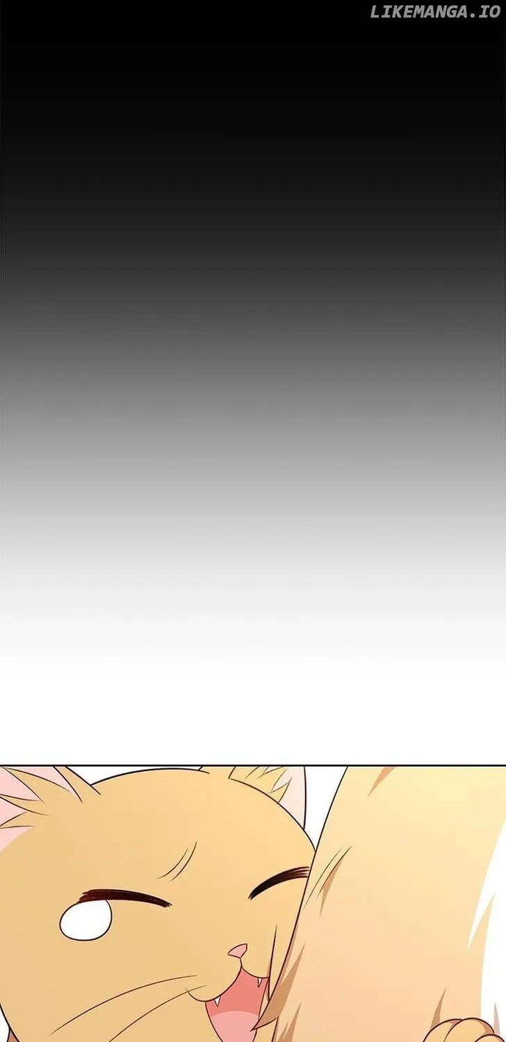 Hello, Mr. Veterinarian! Chapter 21 page 37 - 