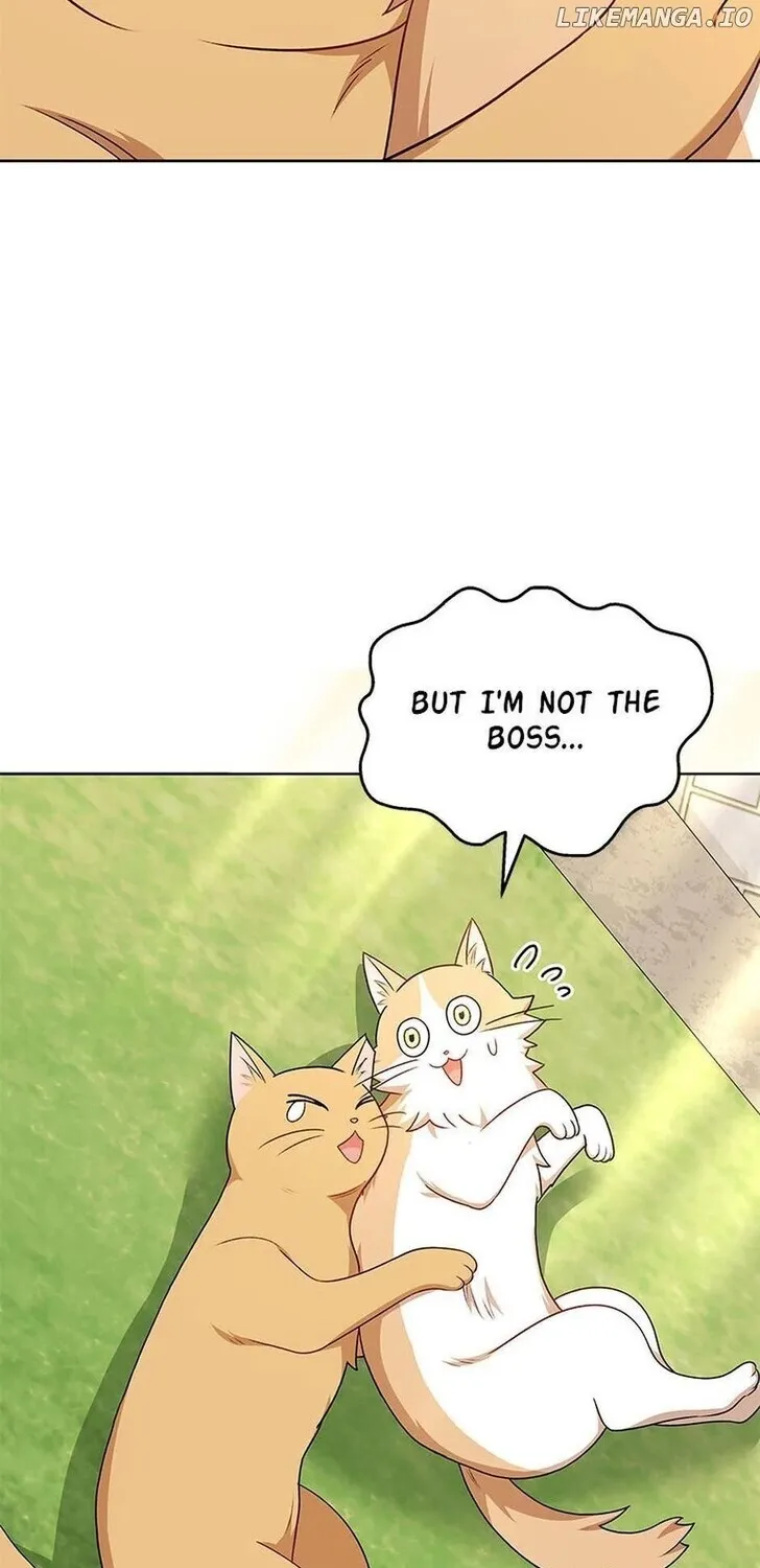 Hello, Mr. Veterinarian! Chapter 21 page 39 - 