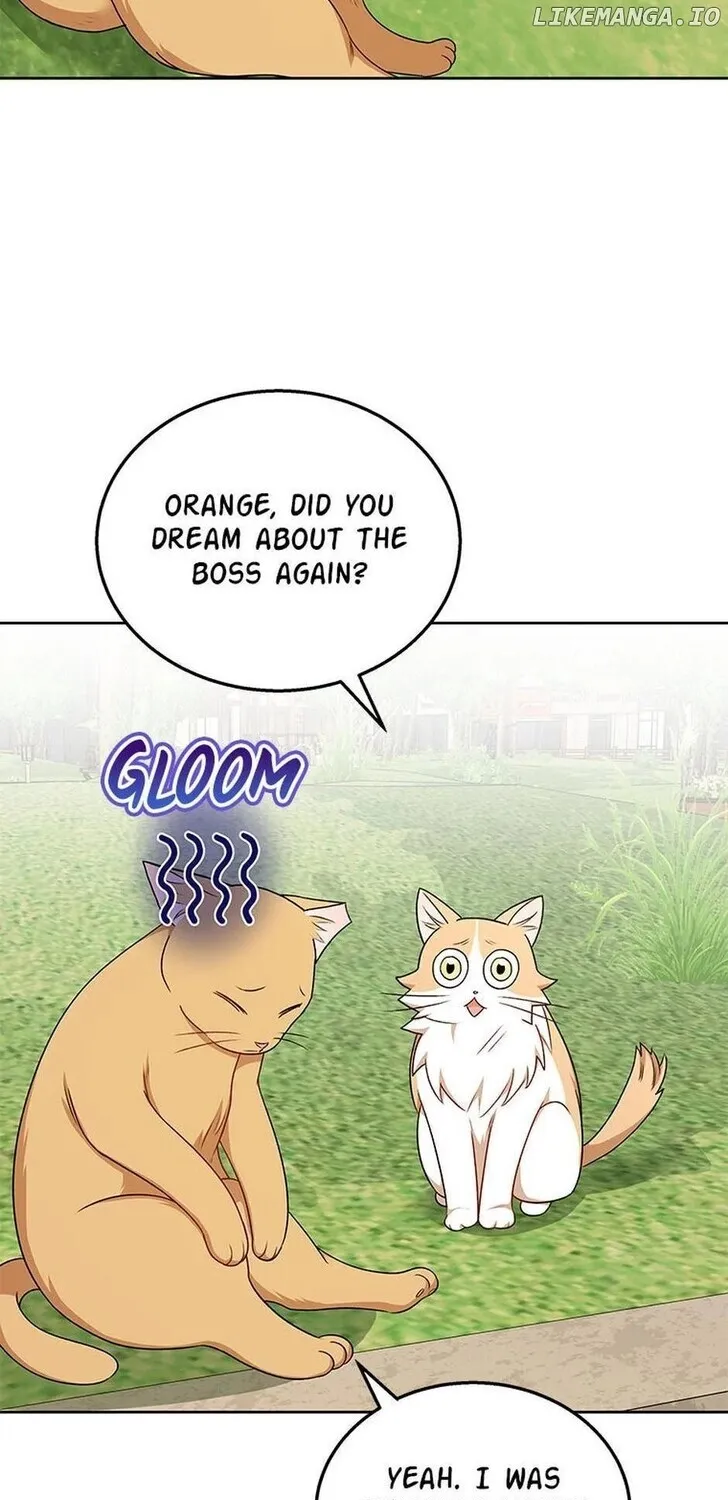 Hello, Mr. Veterinarian! Chapter 21 page 41 - 