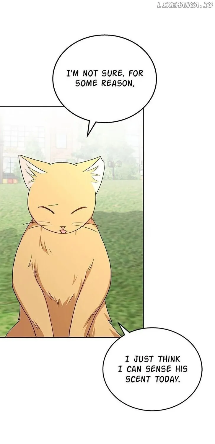 Hello, Mr. Veterinarian! Chapter 21 page 45 - 