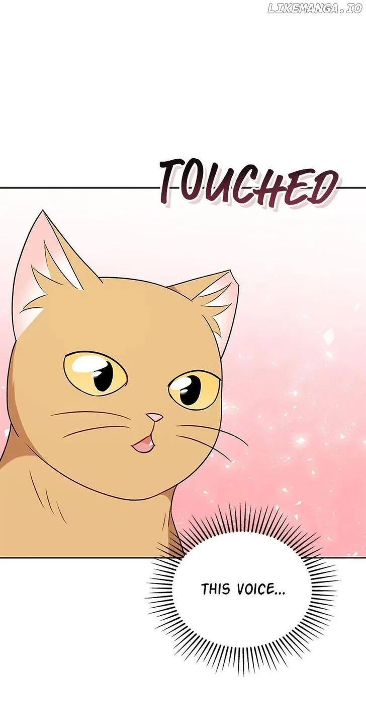 Hello, Mr. Veterinarian! Chapter 21 page 51 - 