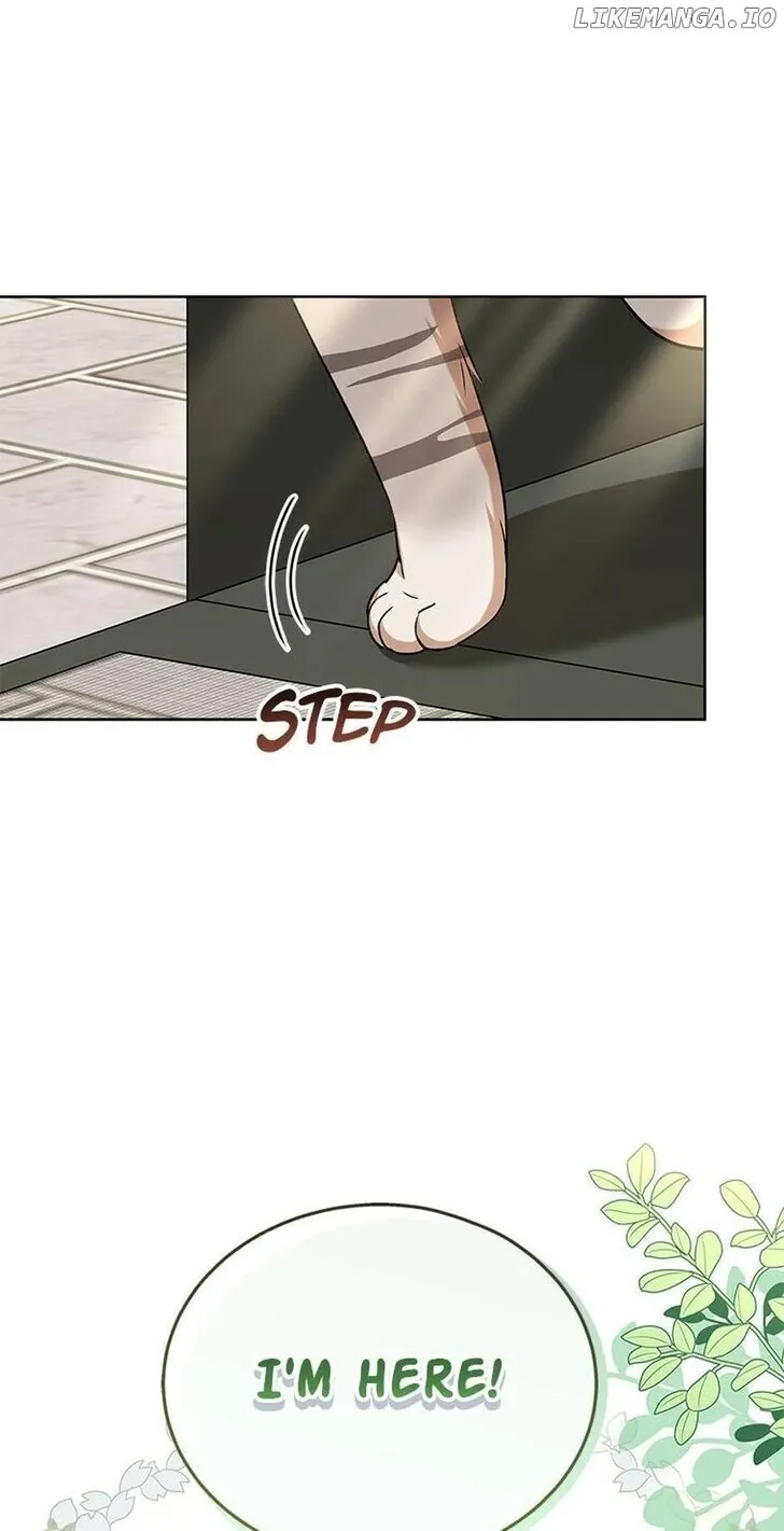 Hello, Mr. Veterinarian! Chapter 21 page 52 - 
