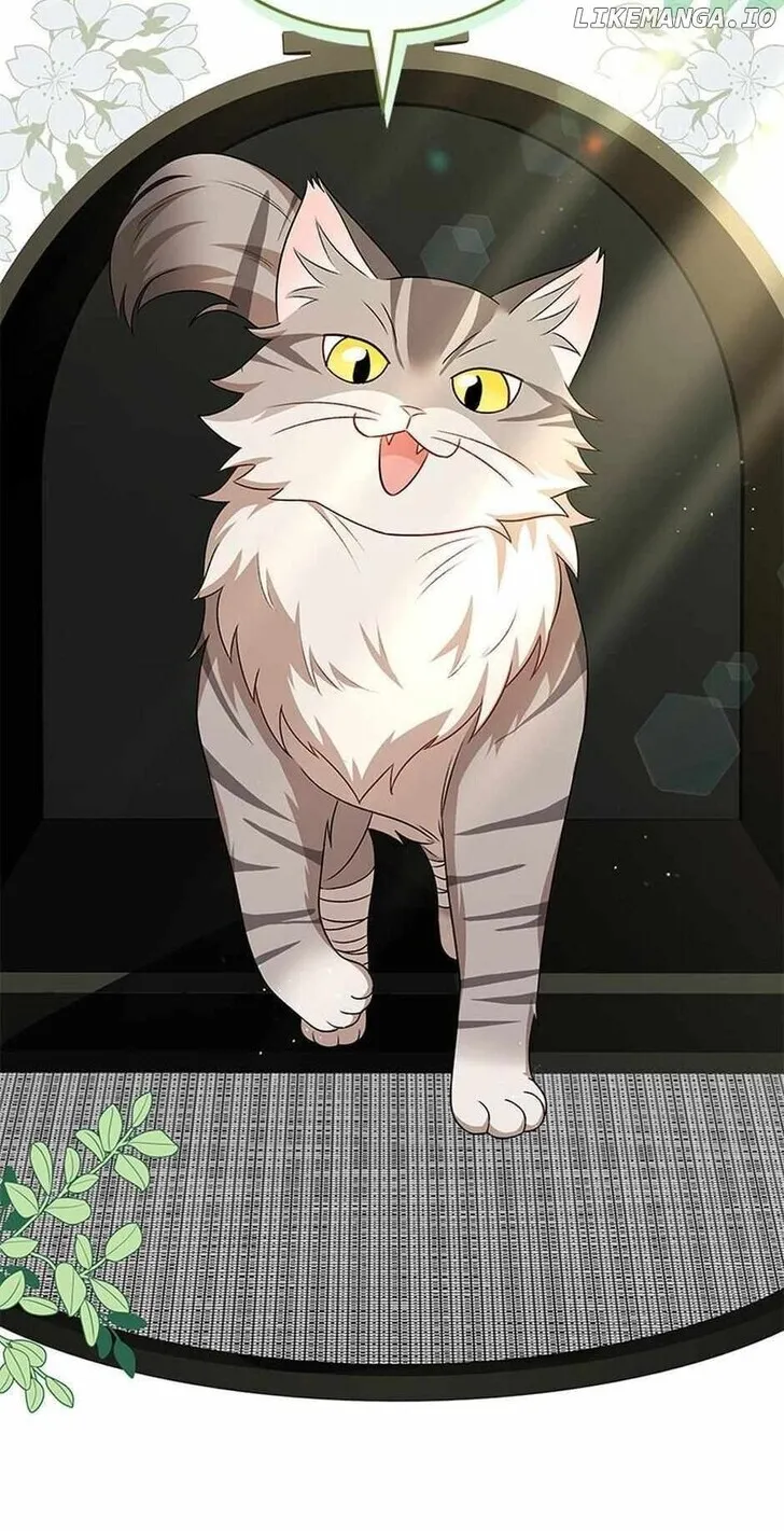 Hello, Mr. Veterinarian! Chapter 21 page 53 - 