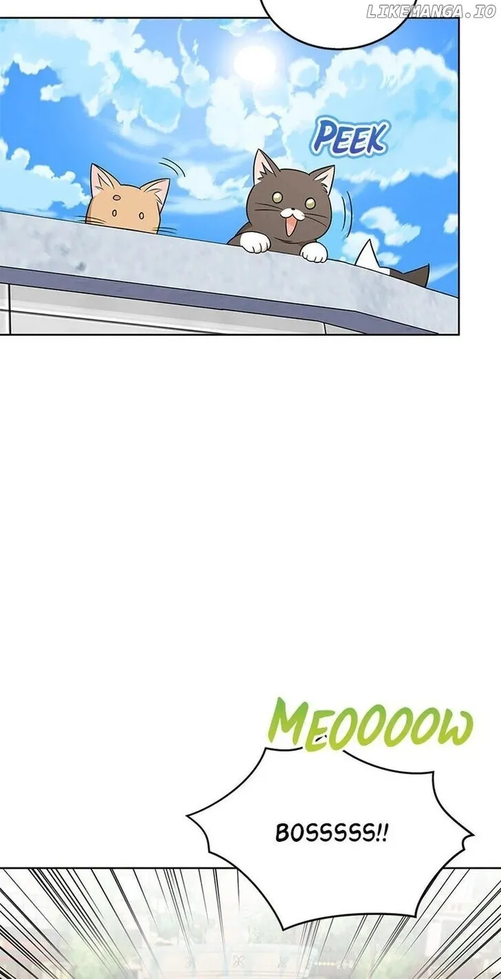 Hello, Mr. Veterinarian! Chapter 21 page 55 - 