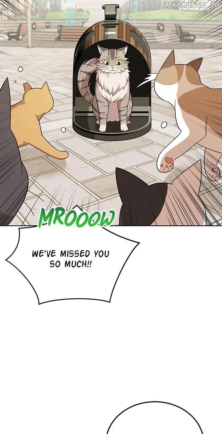 Hello, Mr. Veterinarian! Chapter 21 page 56 - 