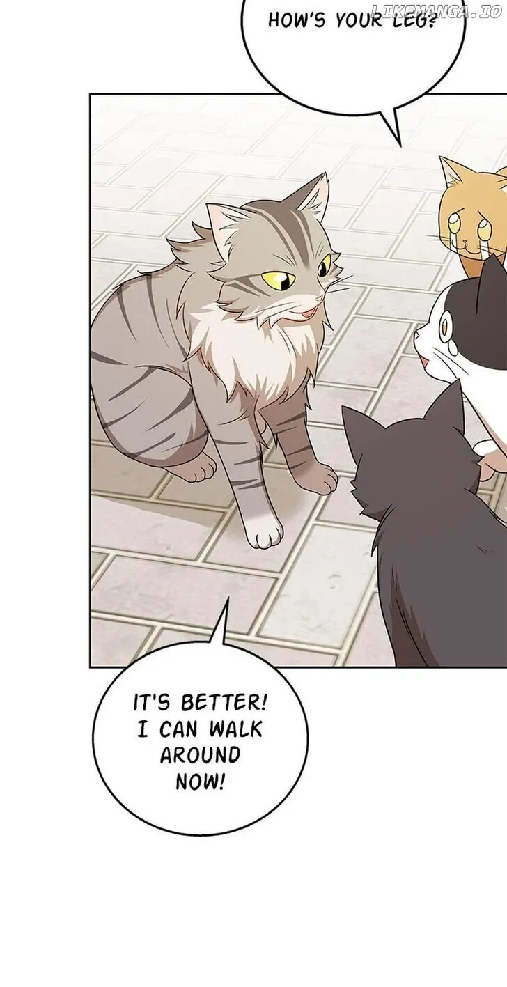 Hello, Mr. Veterinarian! Chapter 21 page 57 - 