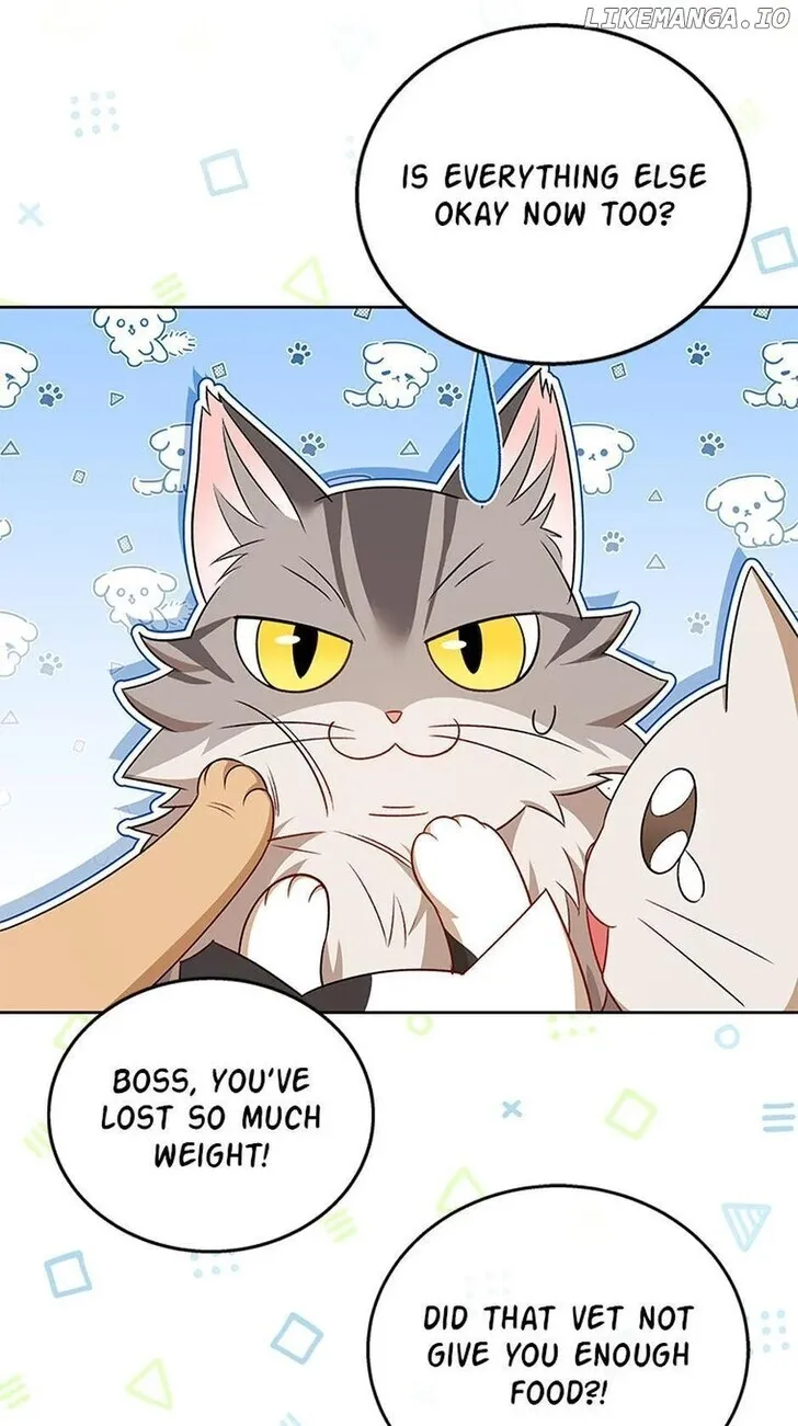 Hello, Mr. Veterinarian! Chapter 21 page 58 - 