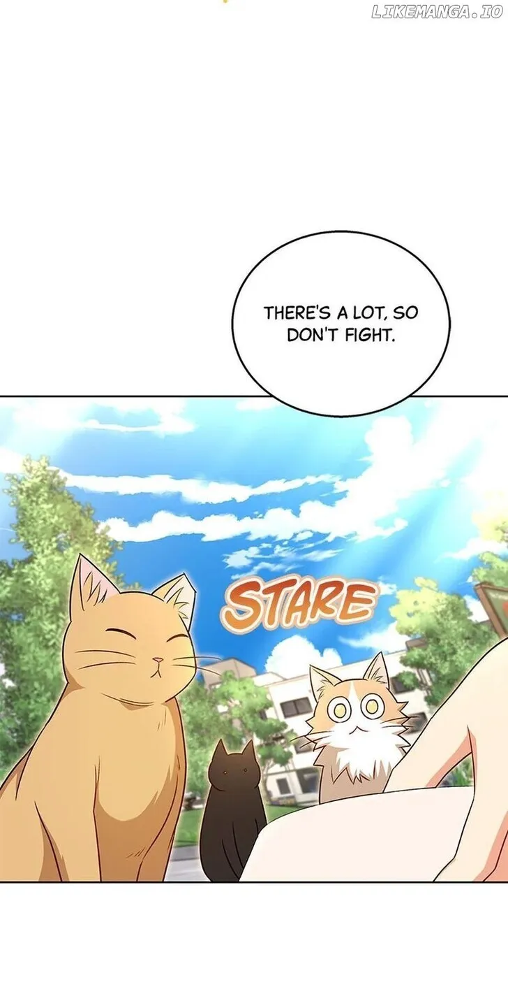 Hello, Mr. Veterinarian! Chapter 21 page 67 - 