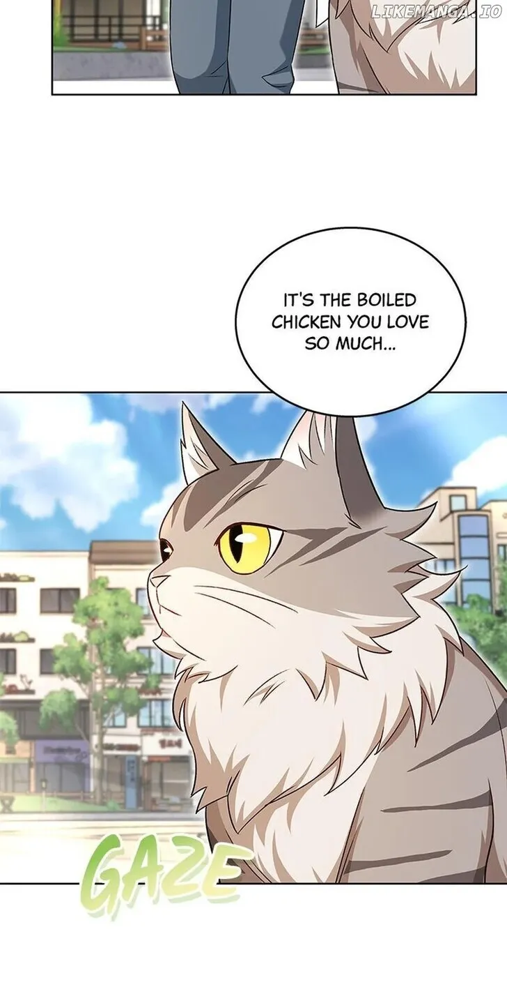 Hello, Mr. Veterinarian! Chapter 21 page 69 - 