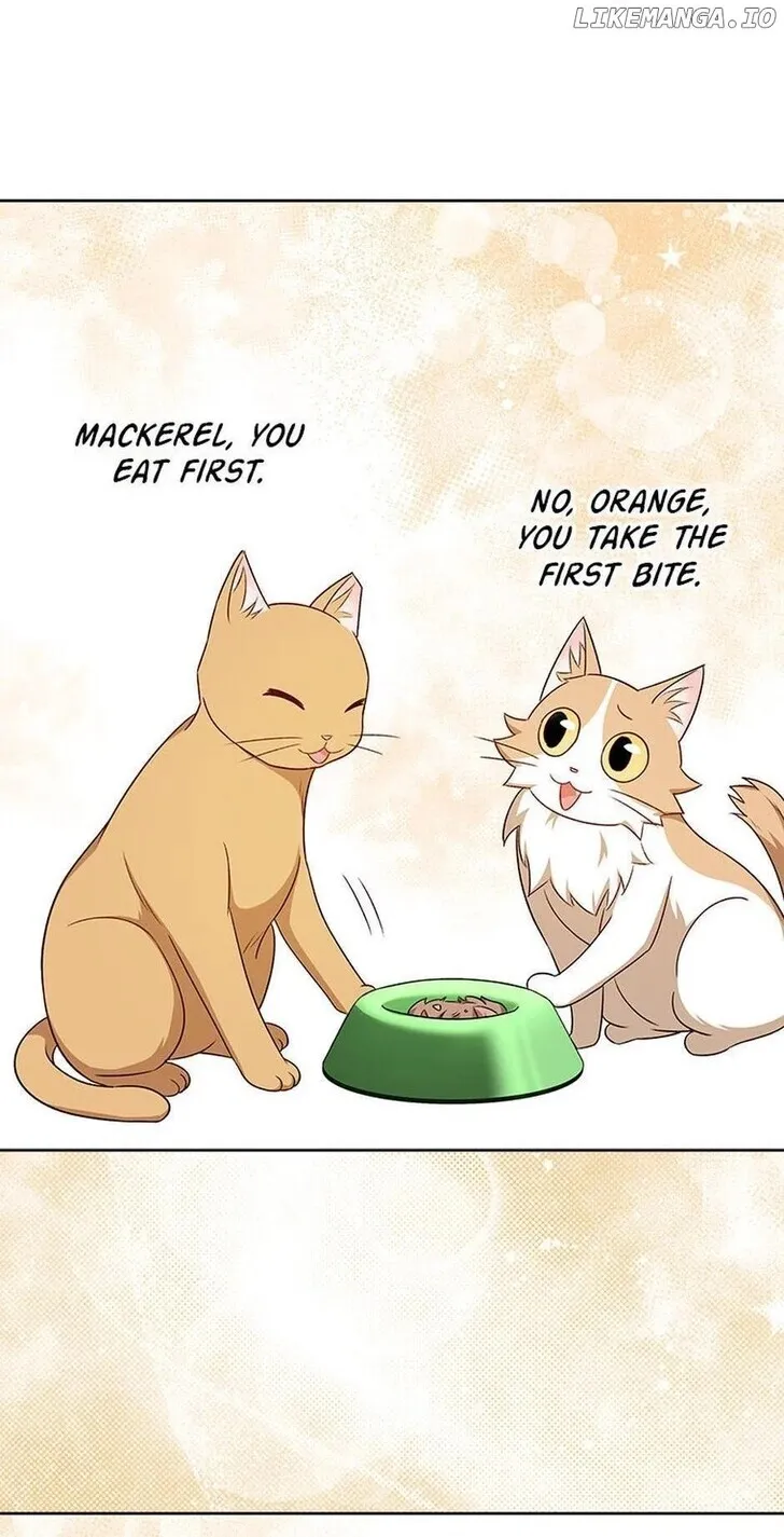 Hello, Mr. Veterinarian! Chapter 21 page 70 - 