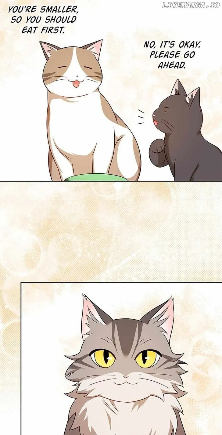Hello, Mr. Veterinarian! Chapter 21 page 71 - 