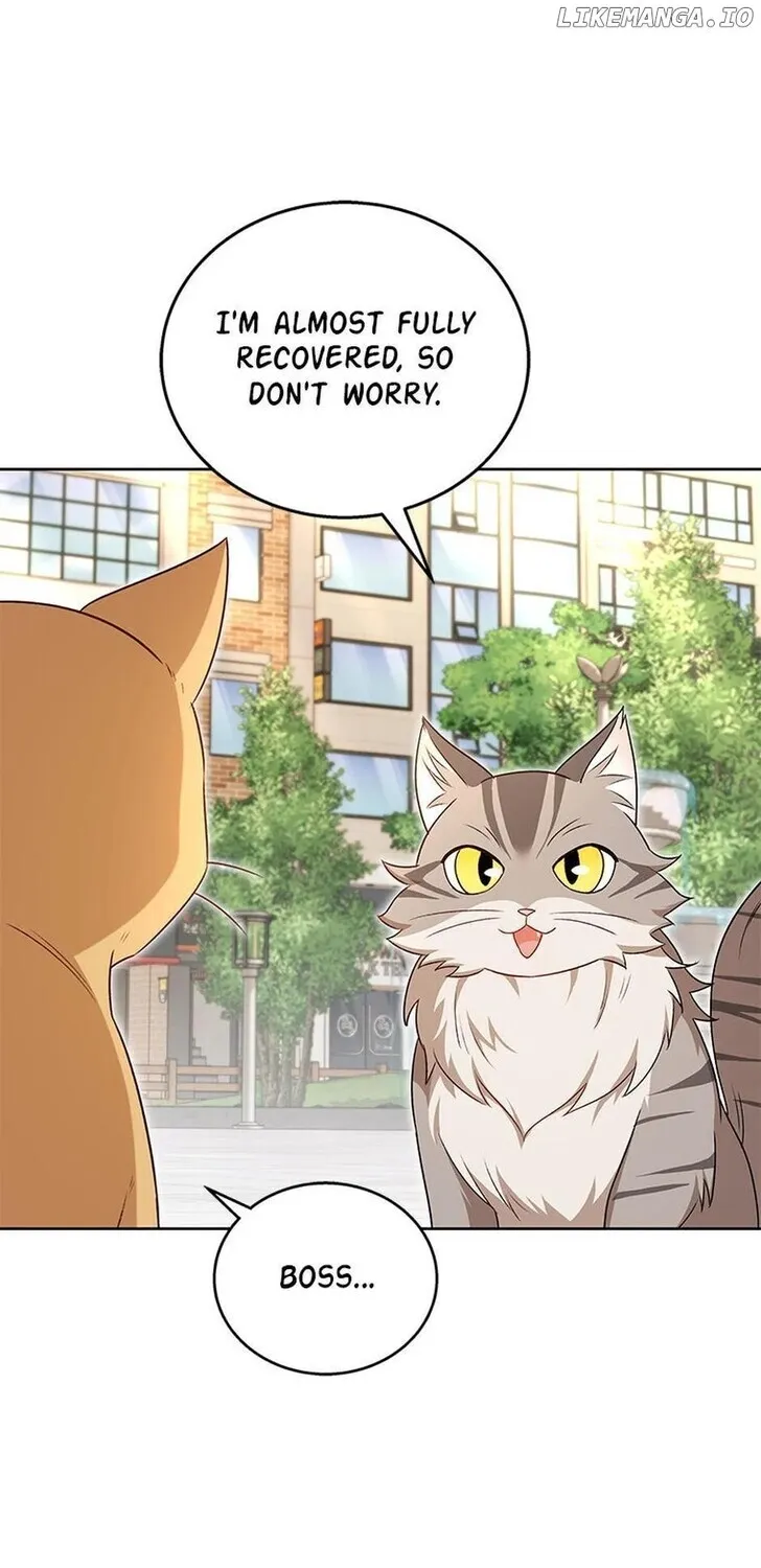Hello, Mr. Veterinarian! Chapter 21 page 74 - 