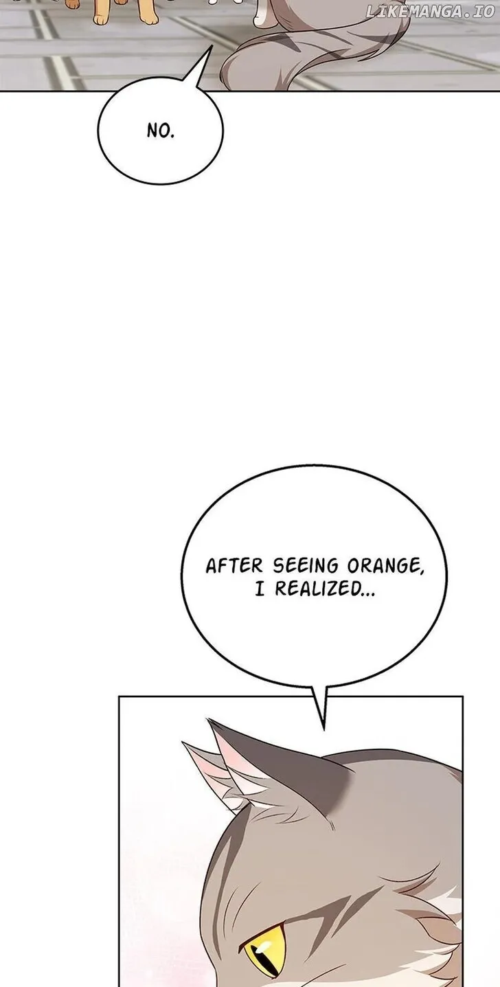 Hello, Mr. Veterinarian! Chapter 21 page 81 - 
