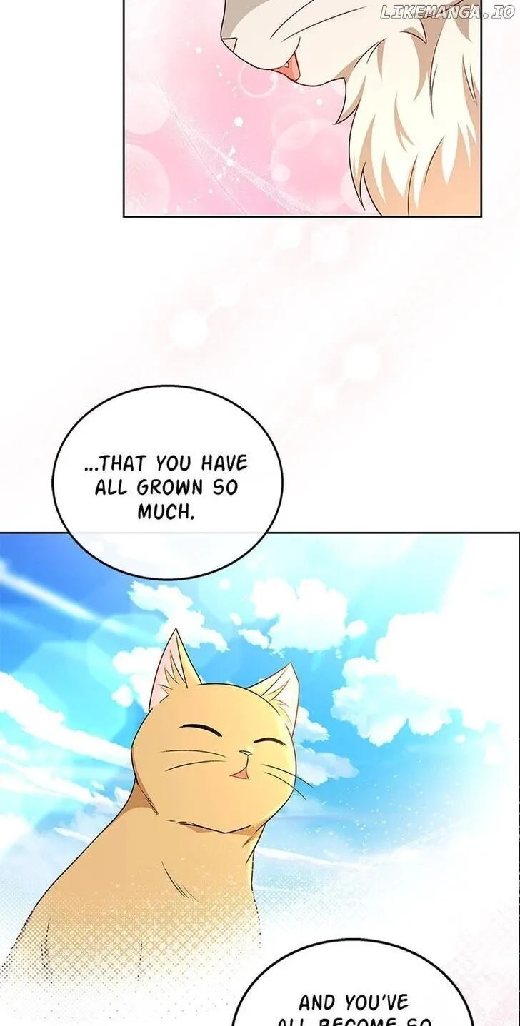 Hello, Mr. Veterinarian! Chapter 21 page 82 - 