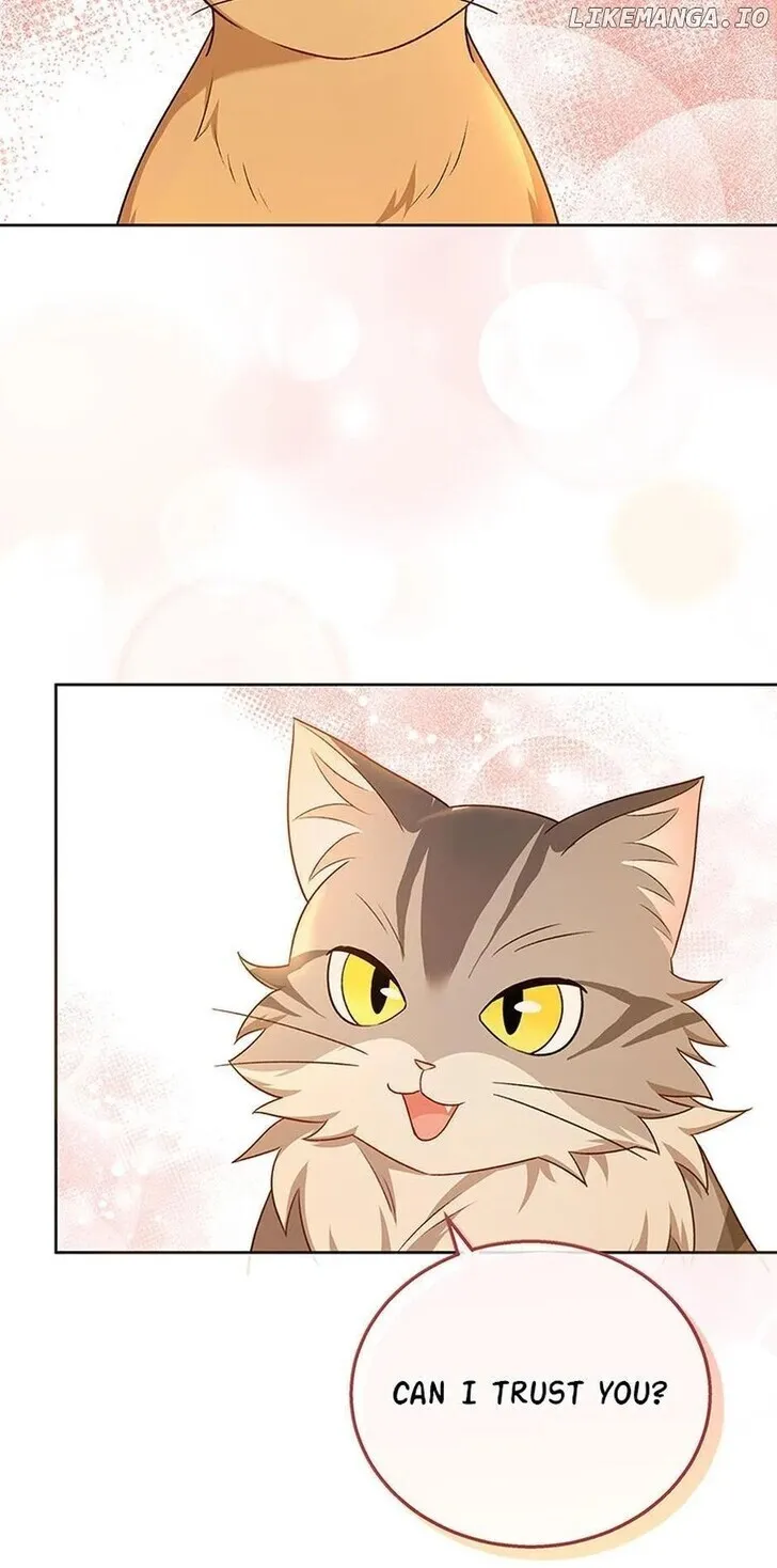 Hello, Mr. Veterinarian! Chapter 21 page 87 - 