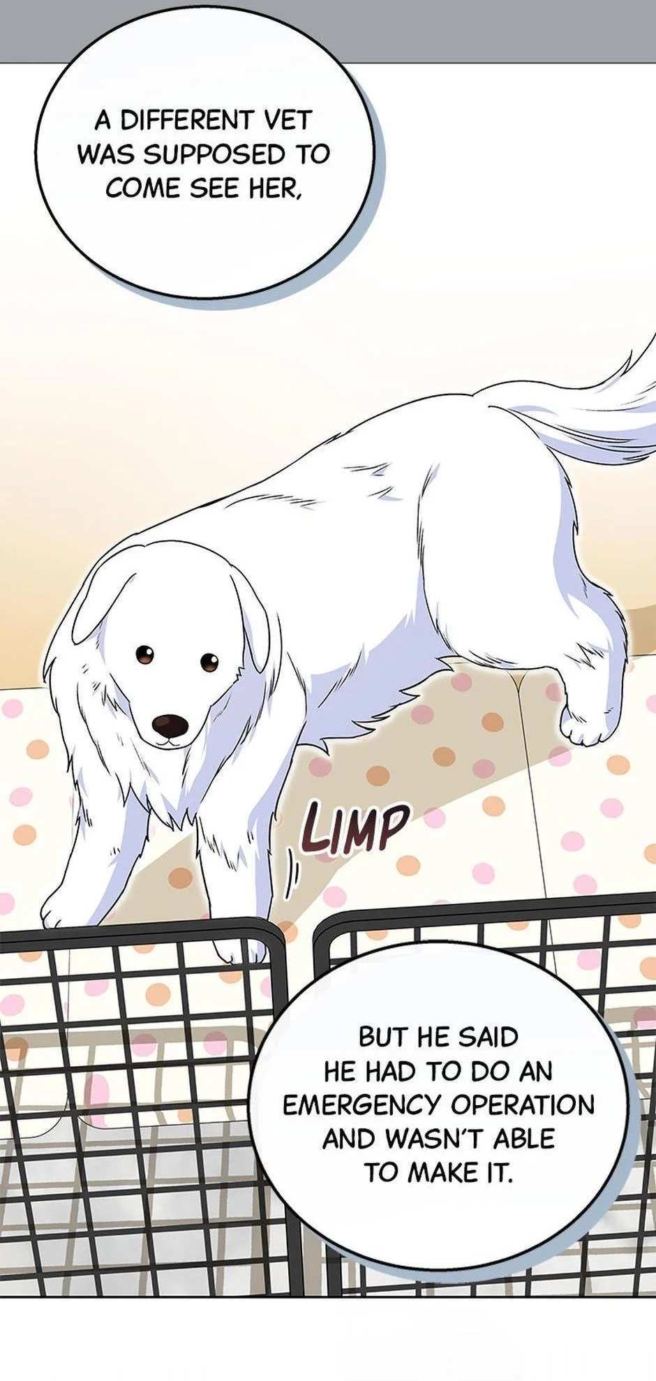 Hello, Mr. Veterinarian! Chapter 22 page 43 - 