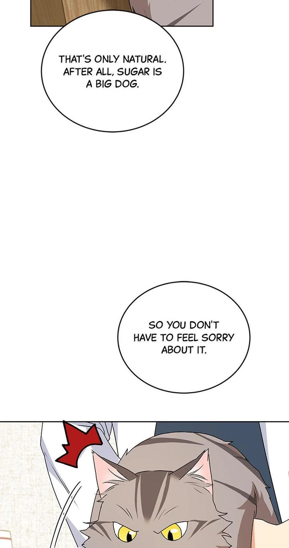 Hello, Mr. Veterinarian! Chapter 24 page 25 - 