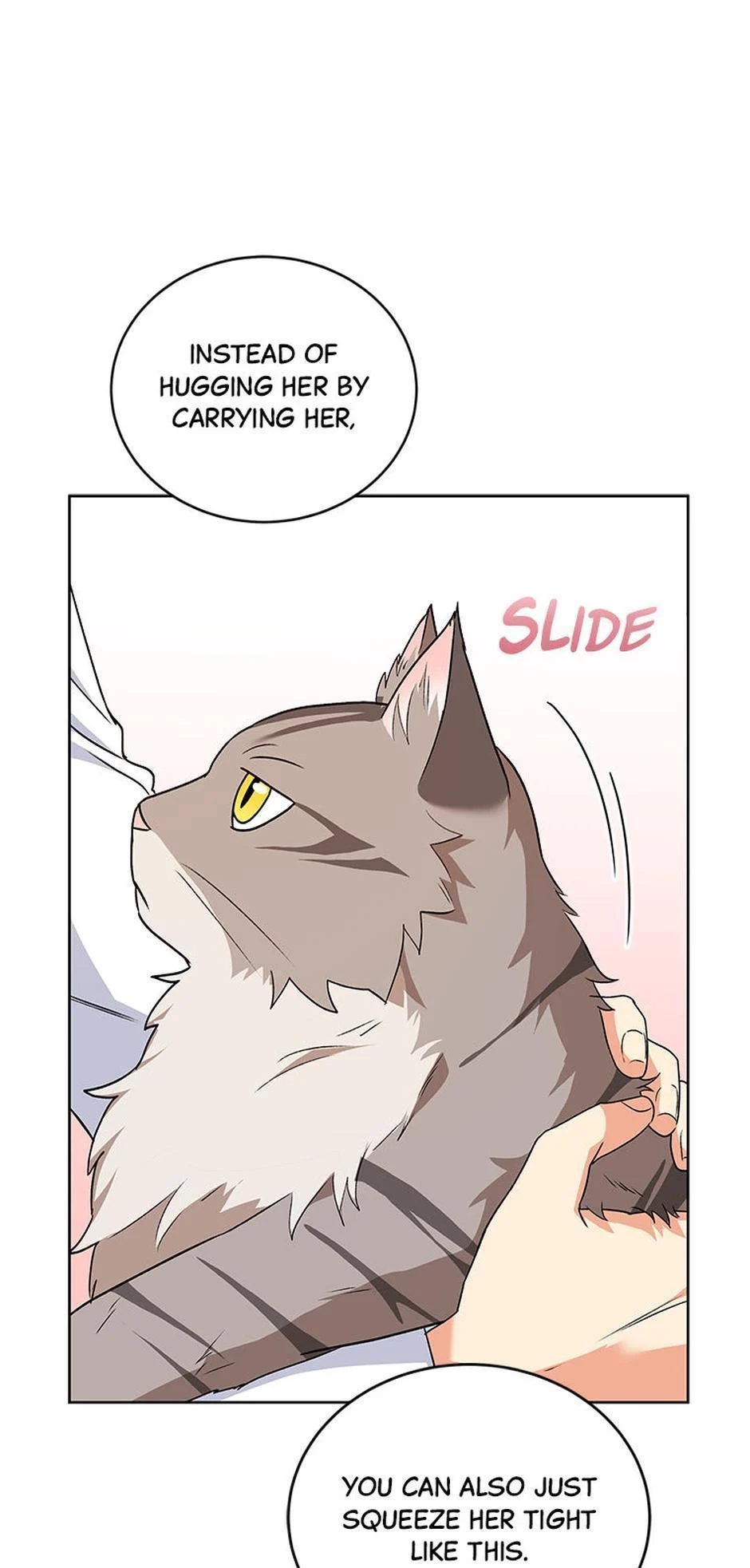 Hello, Mr. Veterinarian! Chapter 24 page 28 - 