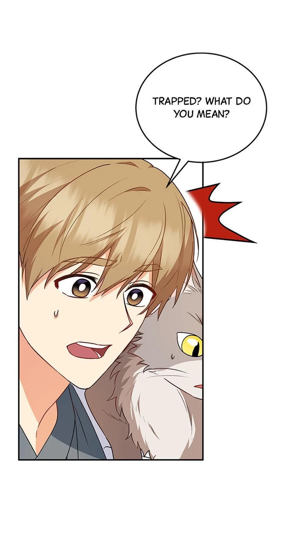 Hello, Mr. Veterinarian! Chapter 25 page 5 - 