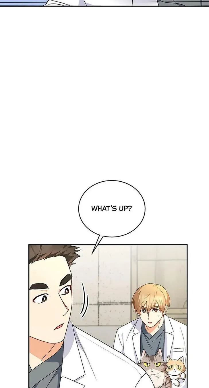 Hello, Mr. Veterinarian! Chapter 26 page 2 - 