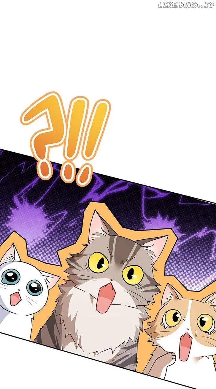 Hello, Mr. Veterinarian! Chapter 26 page 33 - 