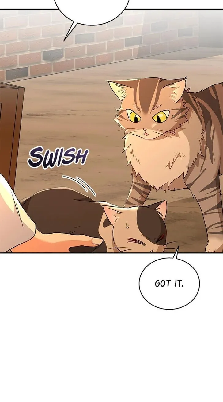 Hello, Mr. Veterinarian! Chapter 26 page 37 - 