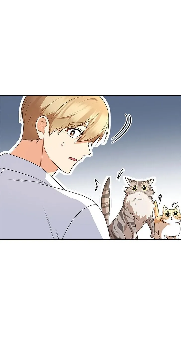 Hello, Mr. Veterinarian! Chapter 26 page 39 - 