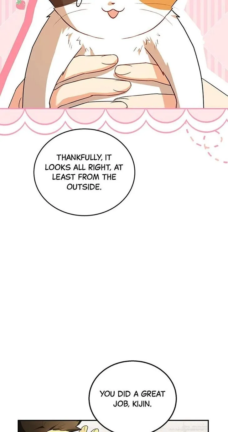 Hello, Mr. Veterinarian! Chapter 26 page 43 - 