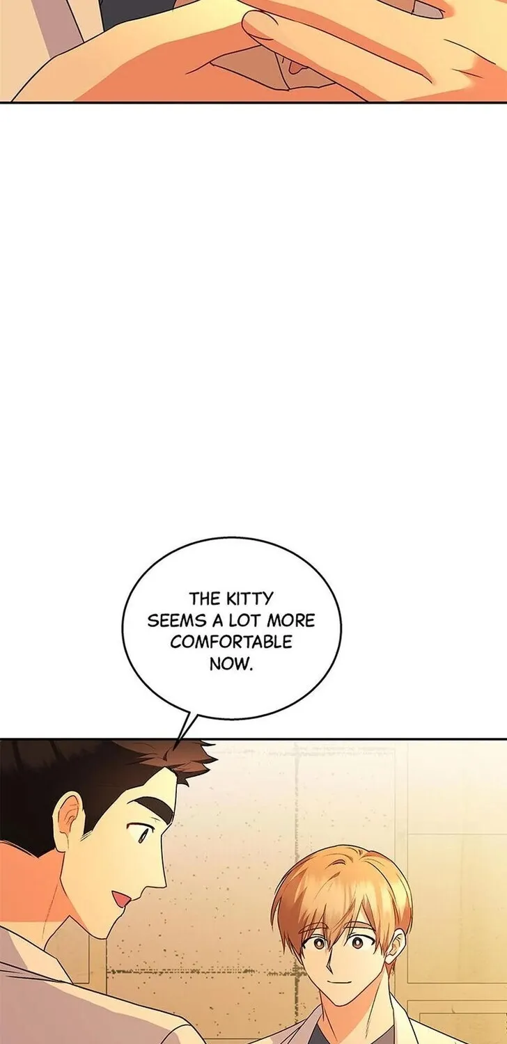 Hello, Mr. Veterinarian! Chapter 26 page 63 - 