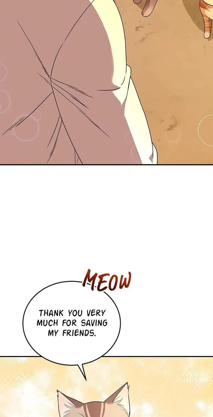 Hello, Mr. Veterinarian! Chapter 26 page 73 - 