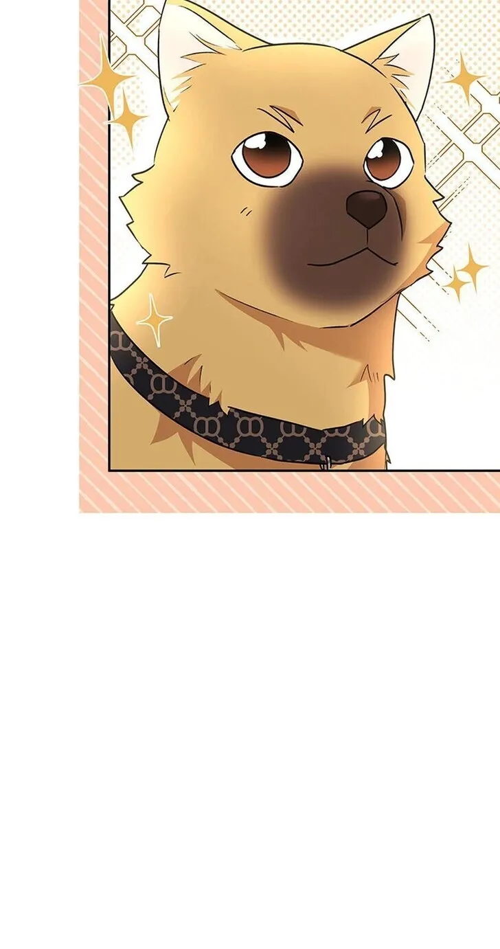 Hello, Mr. Veterinarian! Chapter 26 page 100 - 