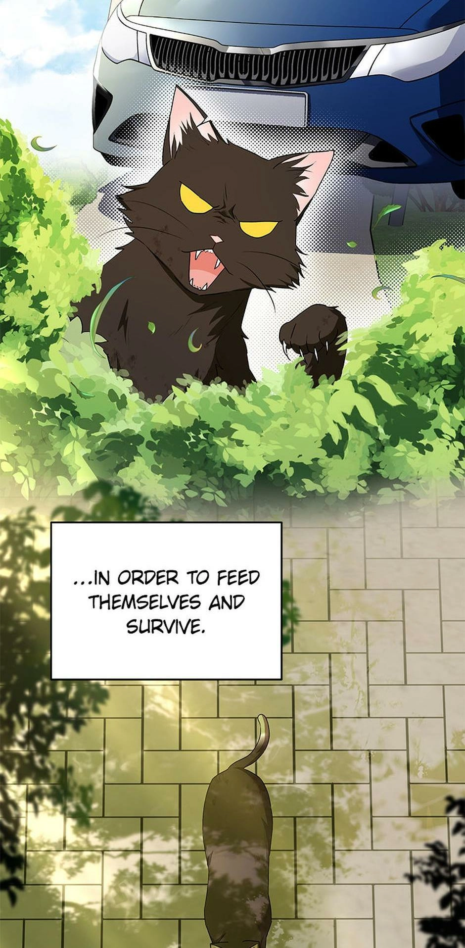 Hello, Mr. Veterinarian! Chapter 27 page 2 - 
