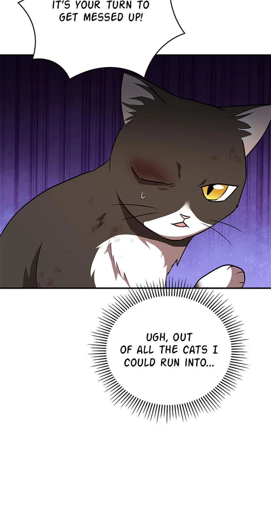 Hello, Mr. Veterinarian! Chapter 27 page 25 - 