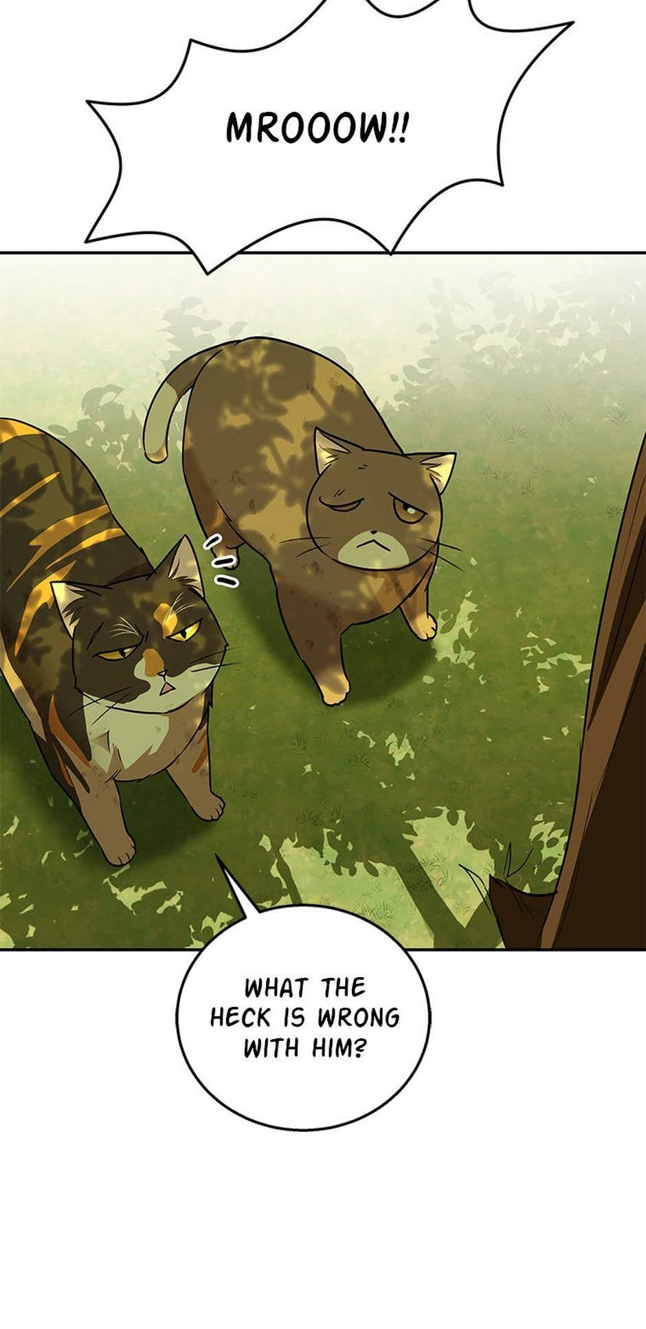 Hello, Mr. Veterinarian! Chapter 27 page 38 - 