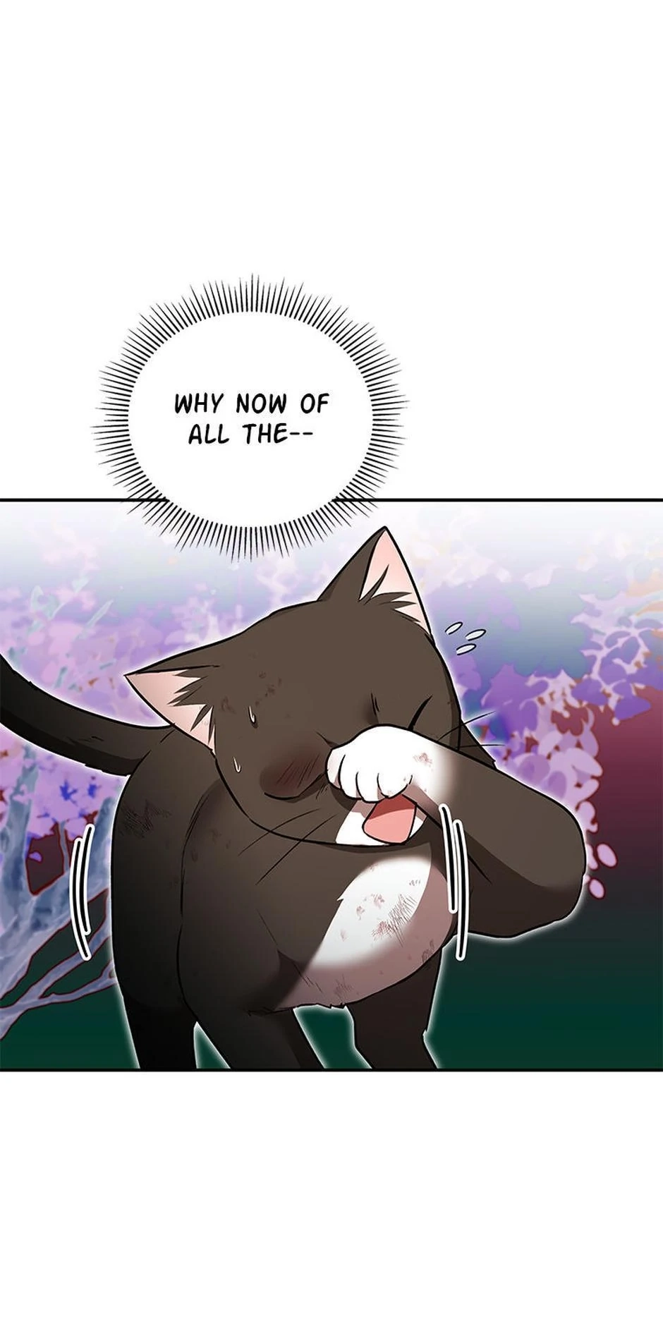 Hello, Mr. Veterinarian! Chapter 27 page 39 - 