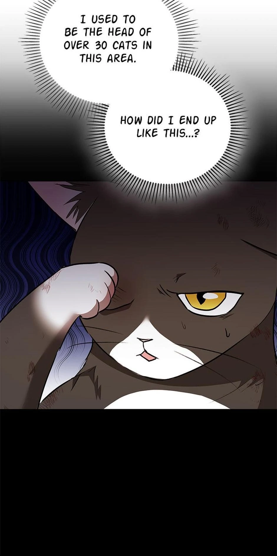 Hello, Mr. Veterinarian! Chapter 27 page 46 - 