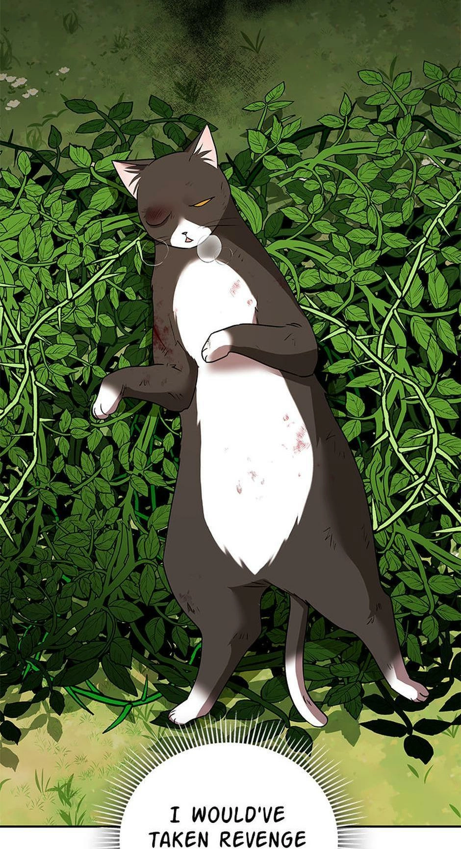 Hello, Mr. Veterinarian! Chapter 27 page 48 - 