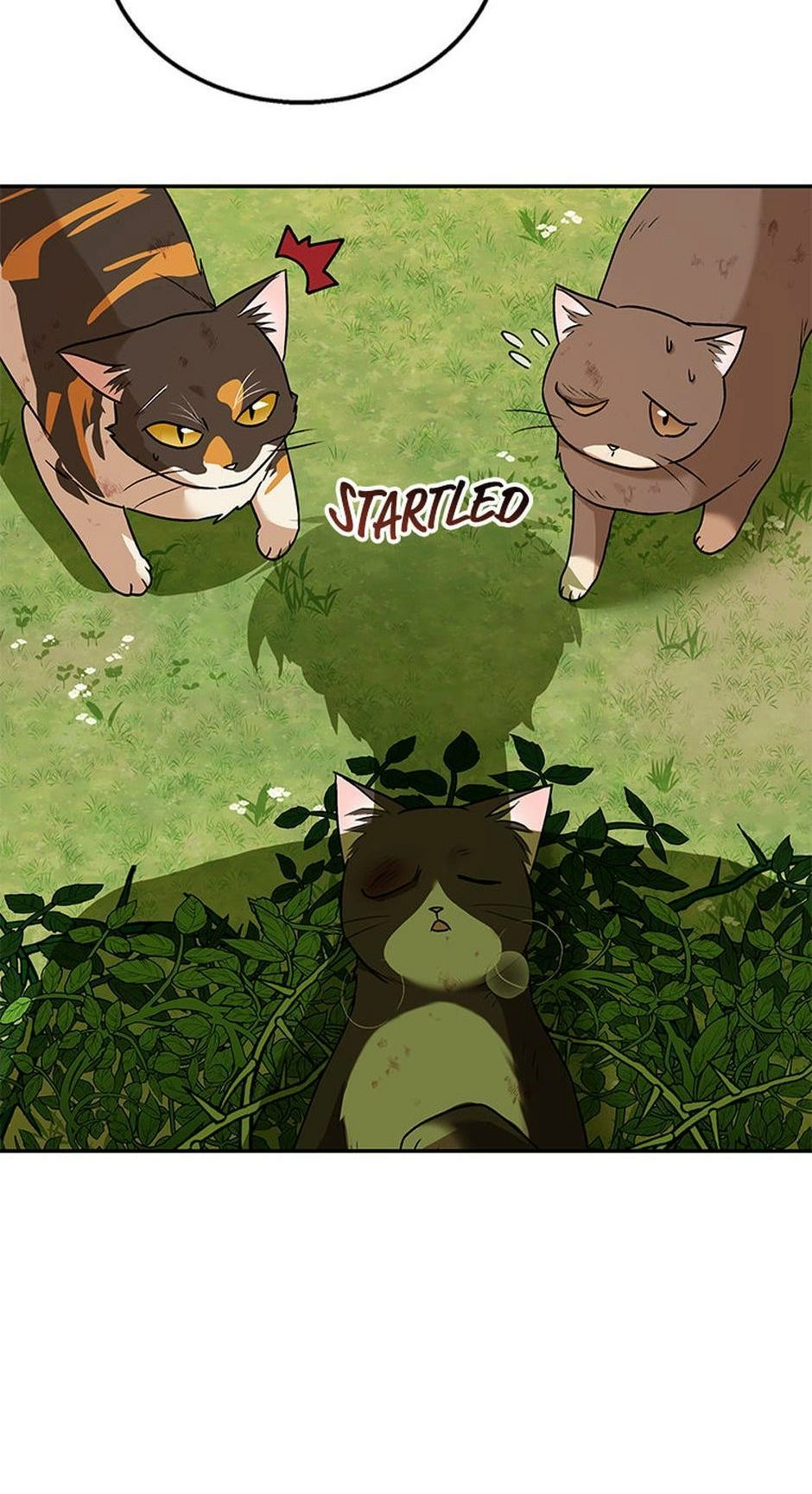 Hello, Mr. Veterinarian! Chapter 27 page 51 - 