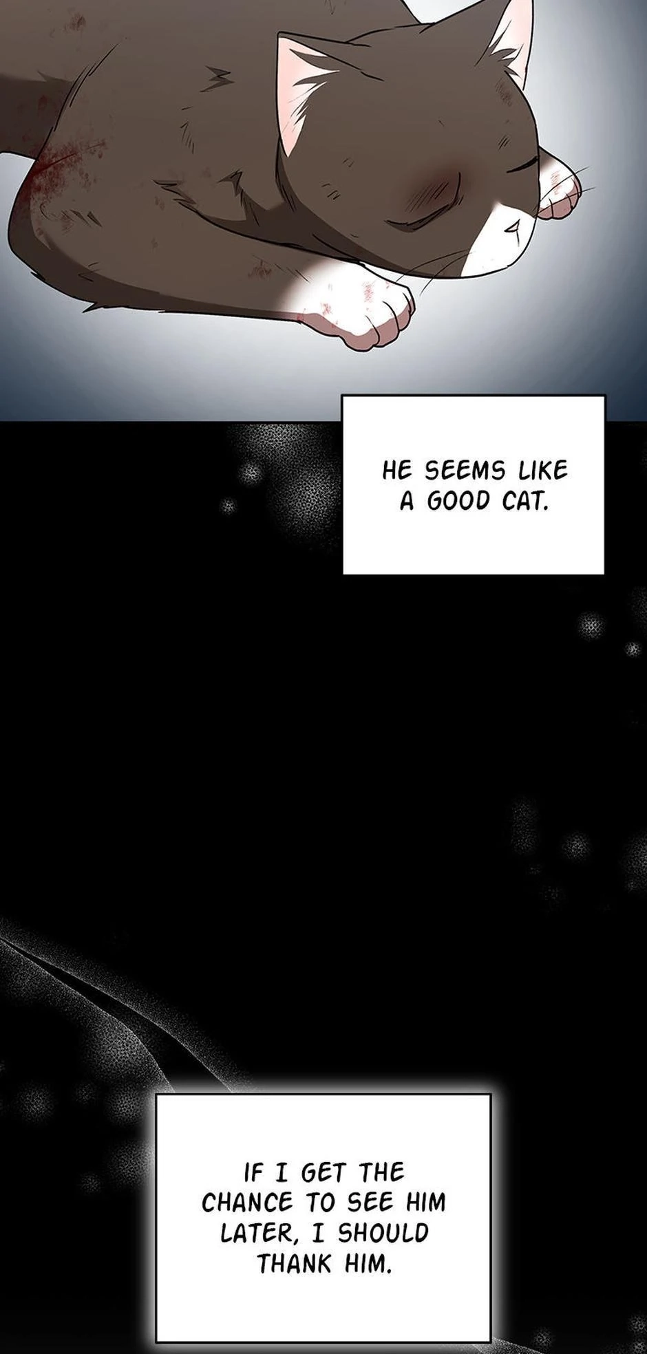 Hello, Mr. Veterinarian! Chapter 27 page 61 - 