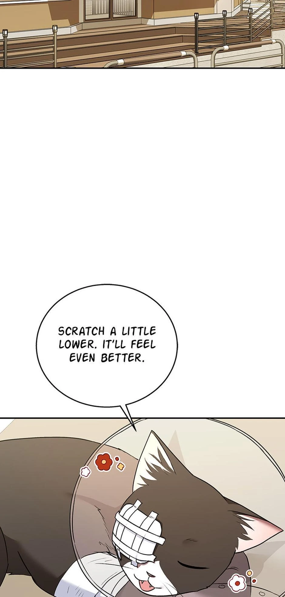 Hello, Mr. Veterinarian! Chapter 27 page 63 - 