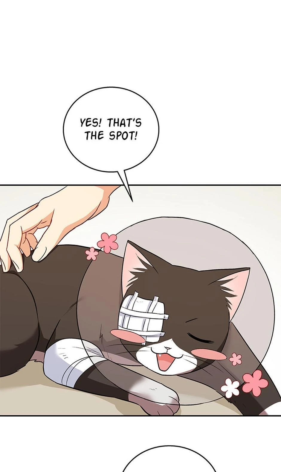 Hello, Mr. Veterinarian! Chapter 27 page 65 - 